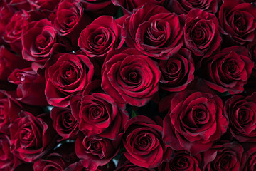 Naklejka premium Luxurious Close-up of Deep Red Roses with Velvet Texture