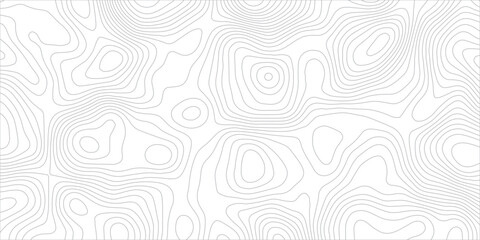 Minimalist Gray Topographic Contour Lines on White Background with Abstract Terrain Elevation Pattern, Modern Cartography Map Texture Vector Design. © Hasan