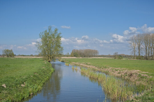 River Dijle thorugh a sunny marsh landscape near Louvain