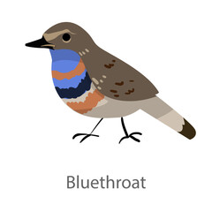Obraz premium Flat vector illustration of a bluethroat in side view. Small colorful songbird isolated on a white background.