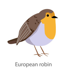 Flat vector illustration of a European robin in side view. Small bird with orange breast isolated on a white background.