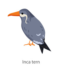 Fototapeta premium Flat vector illustration of an Inca tern in side view. Distinctive seabird with white facial feathers isolated on a white background.