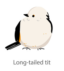 Flat vector illustration of a long-tailed tit in side view. Cute small songbird with a fluffy round body isolated on a white background. © Marina