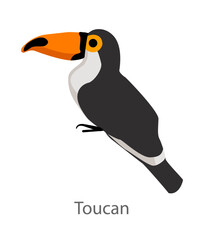 Fototapeta premium Flat vector illustration of a toucan in side view. Tropical bird with a large colorful beak isolated on a white background.