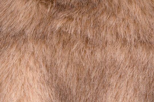 Texture of faux fur as a background, top view.