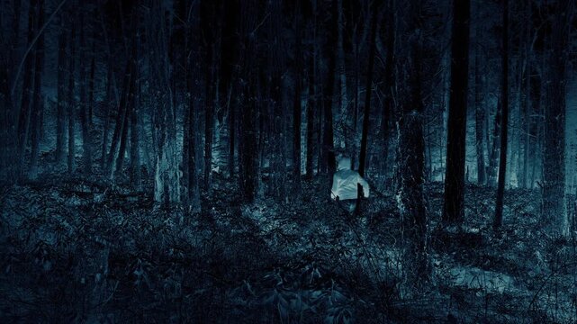 Scary Inverted View Person Runs Through Woods