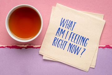 What am I feeling right now? Mindfulness concept.