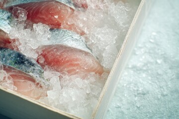 Fototapeta premium Fresh salmon fillets on ice in wooden box