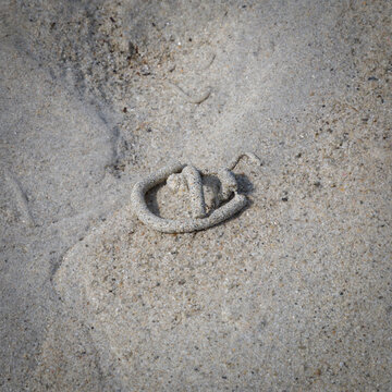 Wattwurmspuren im feuchten K&uuml;stensand