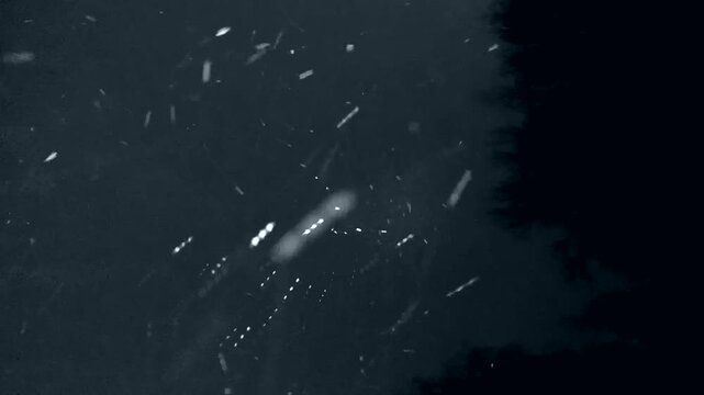 Snowstorm at night, heavy snowfall. Winter hurricane with wind, snow squall.