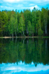 Fototapeta premium Green Forest Reflected in Calm Lake Water