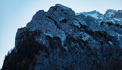Alpine Winter View With Mount