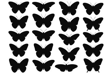 Collection of black butterfly silhouettes in different wing positions and sizes Keywords: butterfly, silhouette, insect, flying © Rasel