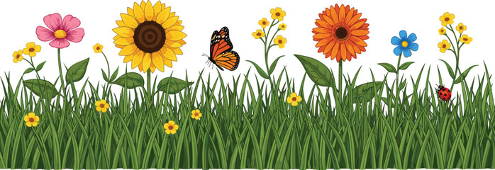 Summer garden meadow border with green grass sunflowers butterflies and colorful wild flowers for nature background spring landscape and outdoor environmental design © shahariar