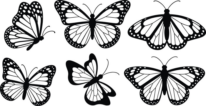 Collection of six black and white monarch butterfly silhouettes in various poses Keywords: butterfly, monarch butterfly, insect