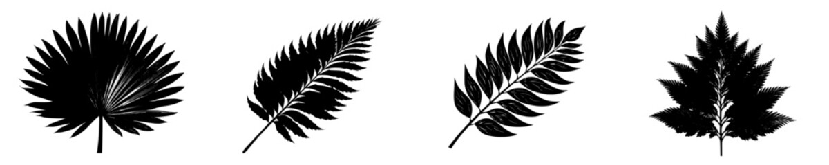 Fototapeta premium Silhouette of a Palm Frond