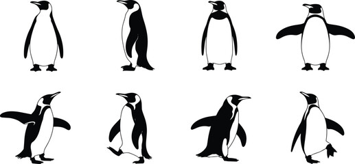Eight Black and White Penguin Silhouettes in Different Poses penguins bird © Rasel