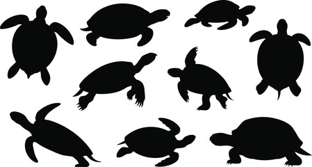 Silhouettes of Sea Turtles in Various Poses on White Background marine life animal © Rasel