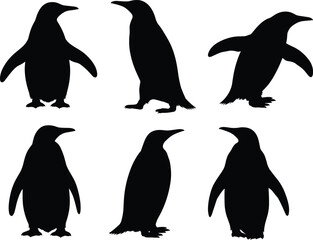 Obraz premium Six black silhouettes of penguins in various poses on a white background bird animal