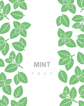 Mint leaves background, pattern set. Collection mint leaves icons. Vector