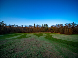 Obraz premium Große Wiese mit Mustern auf einer Waldlichtung