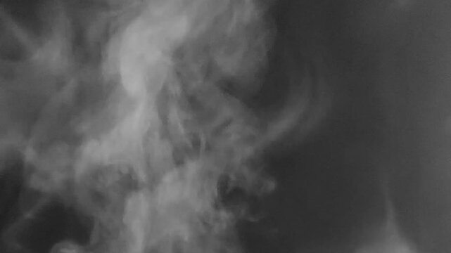 Smoke Effect Animation Black Background
