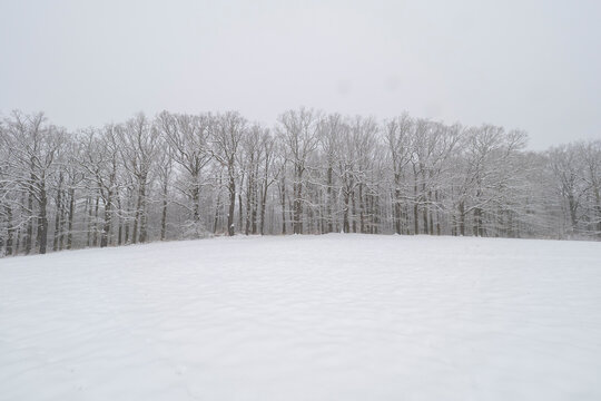 Landschaft im Winter