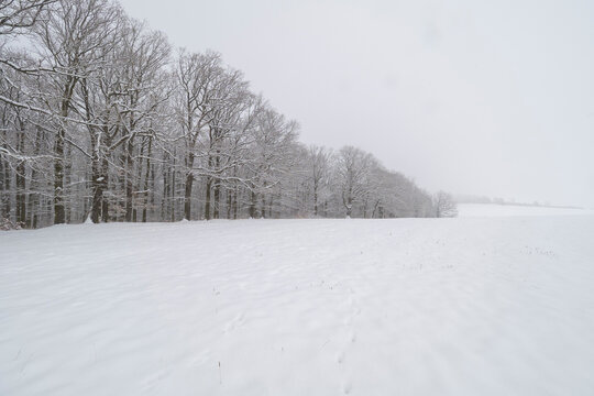 Landschaft im Winter