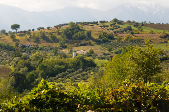 Italy, Abruzzo.  Farms, orchards, and groves, in the hill country west of Pascara.