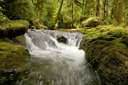 Canada, BC, Queen Charlotte Islands, Gwaii Haanas National Park Reserve.  Waterfall