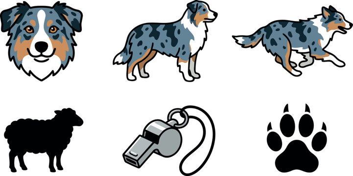 Flat vector australian shepherd head standing running and profile poses herding dog chasing sheep whistle paw icons blue gray cute