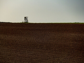 Hoch und Jägersitz im Feld © focus finder