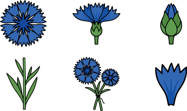 Flat design close up cornflower icons set six floral elements blue petals stems buds simple vector art outline style isolated