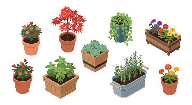 A diverse collection of nine isometric potted plants and planter boxes, featuring various flowers, herbs, and succulents, is displayed.