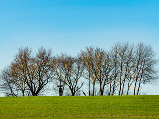 Fototapeta premium Hoch und Jägersitz im Feld
