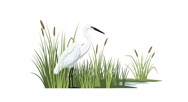 A pristine white egret stands partially hidden within a dense cluster of vibrant green reeds and brown cattails with a small puddle.