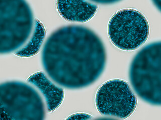 Blue cells, microscopic particles. Molecules, molecular cell. Close up of a mirco organism, science...