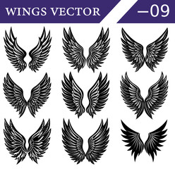 Collection of nine distinct black and white of feathered angel or bird wings arranged in a three by three grid with intricate detailing and varied shapes and sizes and emblems Keywords: wings