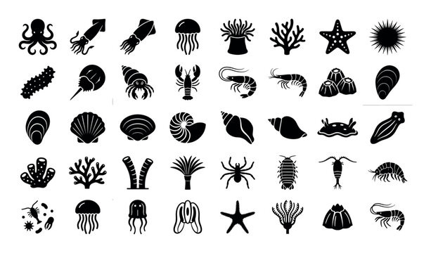 Collection of diverse marine life and sea creature icons in a grid pattern