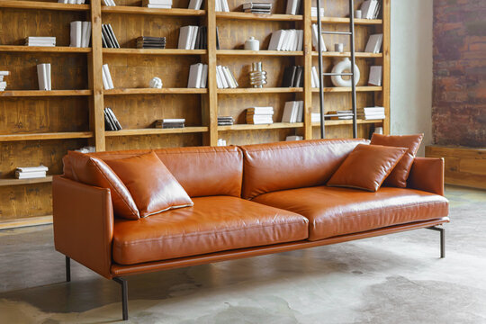 Stylish brown leather sofa placed in loft style office, library interior with wooden bookshelves with books. Cozy business lounge area with modern design, concrete floor and minimalist decoration