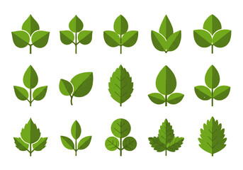 Fototapeta premium Vector flat design illustration of various green leaves on a white background, showcasing different shapes and styles in a graphic resource collection.