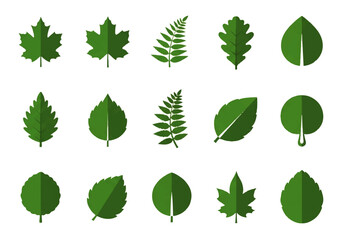 Vector flat design illustration of various green leaves in different shapes and sizes on a white background.