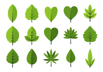 Fototapeta premium Vector flat design illustration of various green leaves in different shapes and sizes on a white background.