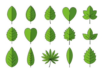 Fototapeta premium Vector flat design illustration of various green leaves in different shapes and sizes on a white background.