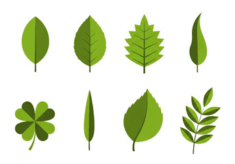 Fototapeta premium Vector flat design illustration of various green leaves on a white background.