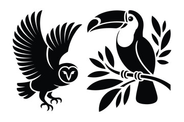 Fototapeta premium Tropical Toucan and Flying Owl - Exotic Bird Silhouette Vector
