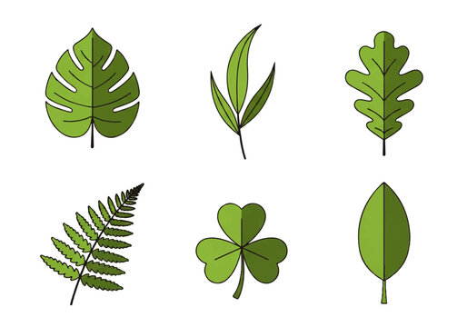 Vector flat design illustration of six different green leaves on a white background.