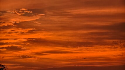 Fototapeta premium sunset in the sky
