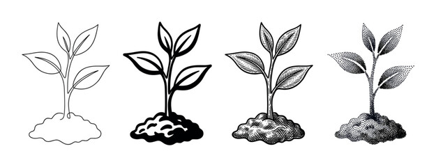 Naklejka premium Set of four young plant illustrations showing a sprout growing from soil in different artistic styles including line art, bold icon, vintage engraving, and modern stippling