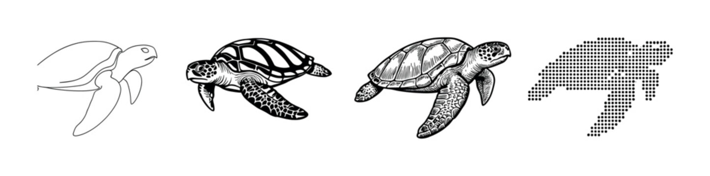 Set of four sea turtle illustrations in various graphic styles including line art, stencil, detailed engraving, and a dotted pixel silhouette